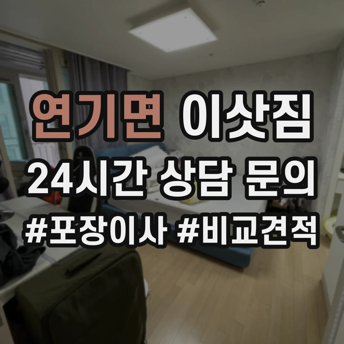 연기면 이삿짐