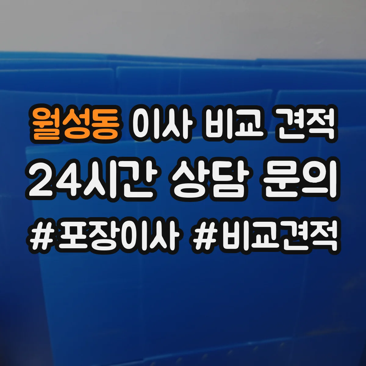 월성동 이사 비교 견적