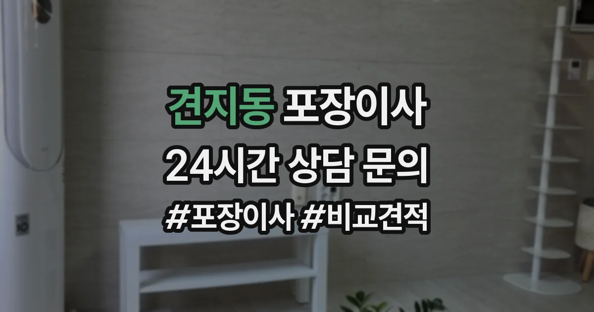 견지동 포장이사