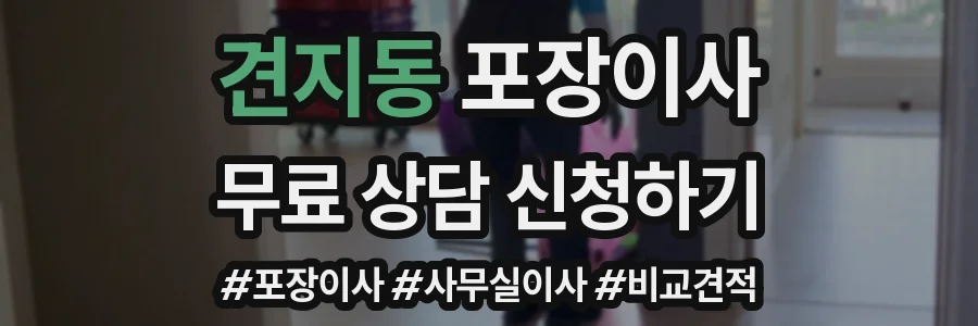 견지동 포장이사