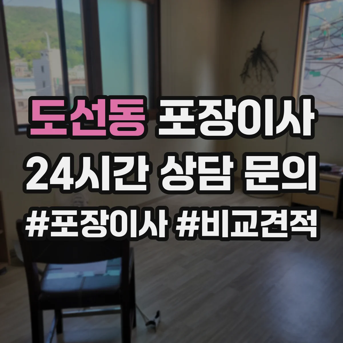 도선동 포장이사