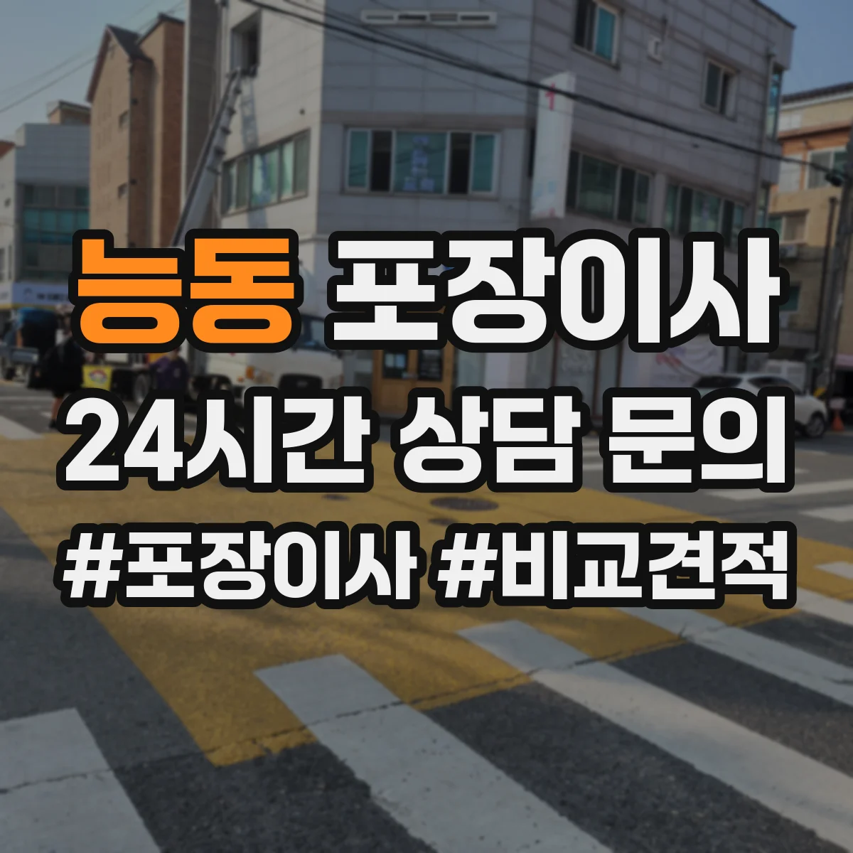 능동 포장이사 업체 비교할 때 서비스 범위와 책임 범위 확인