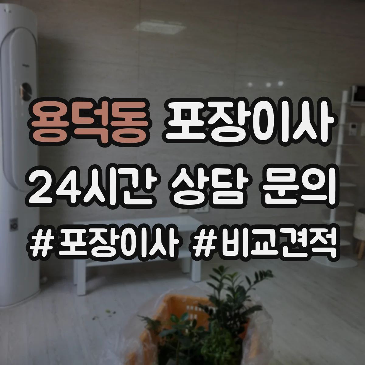 용덕동 포장이사
