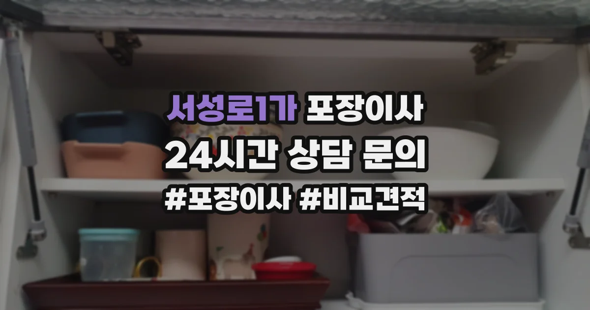 서성로1가 포장이사