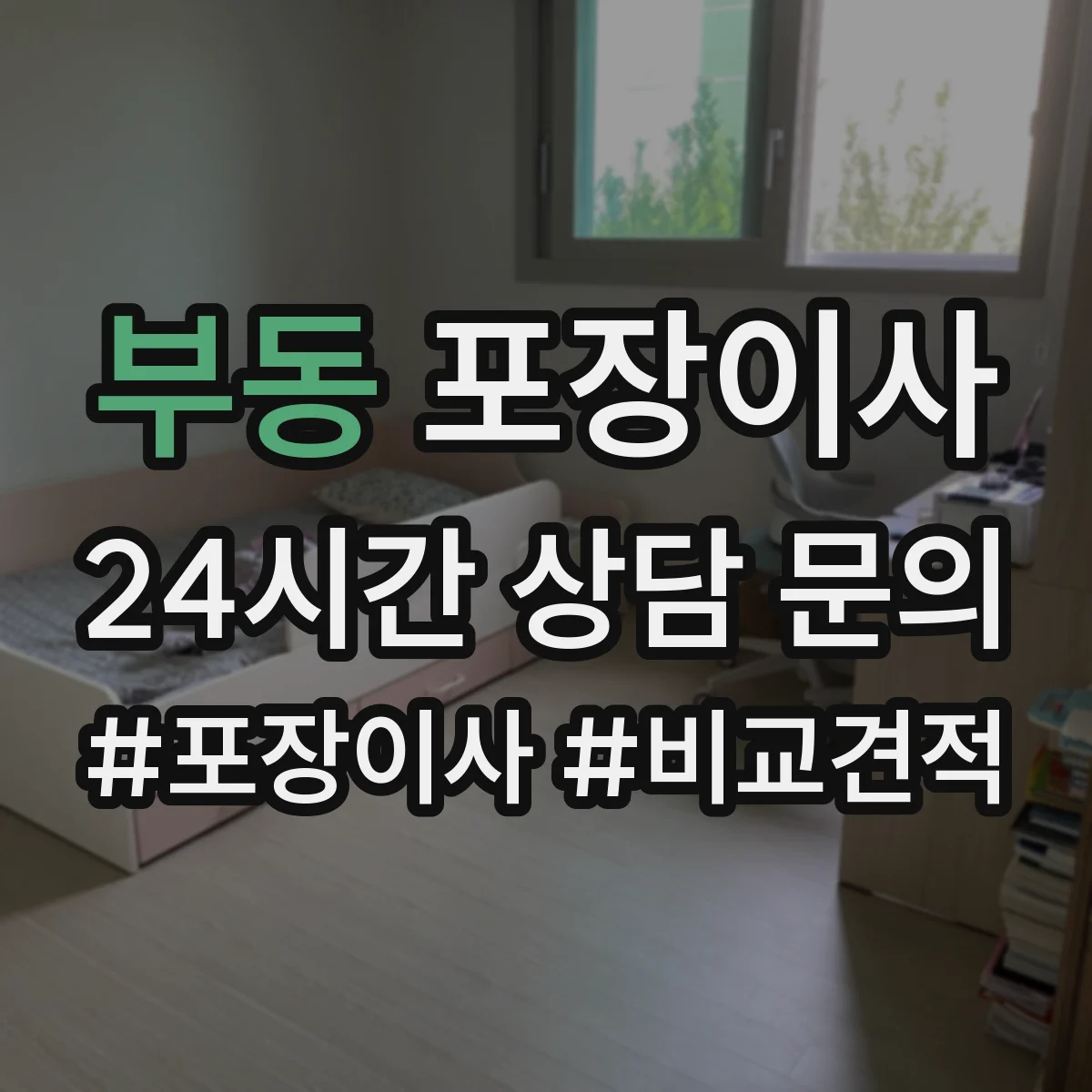 부동 포장이사