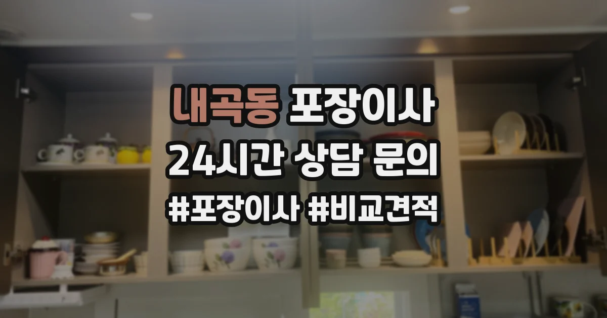 내곡동 포장이사