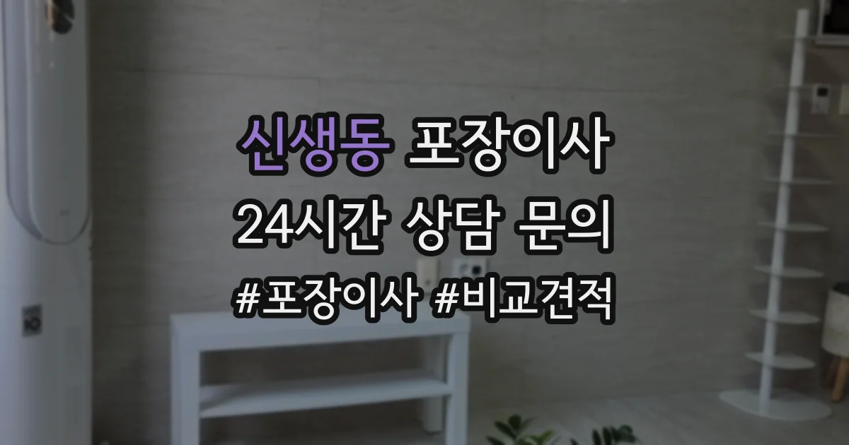 신생동 포장이사