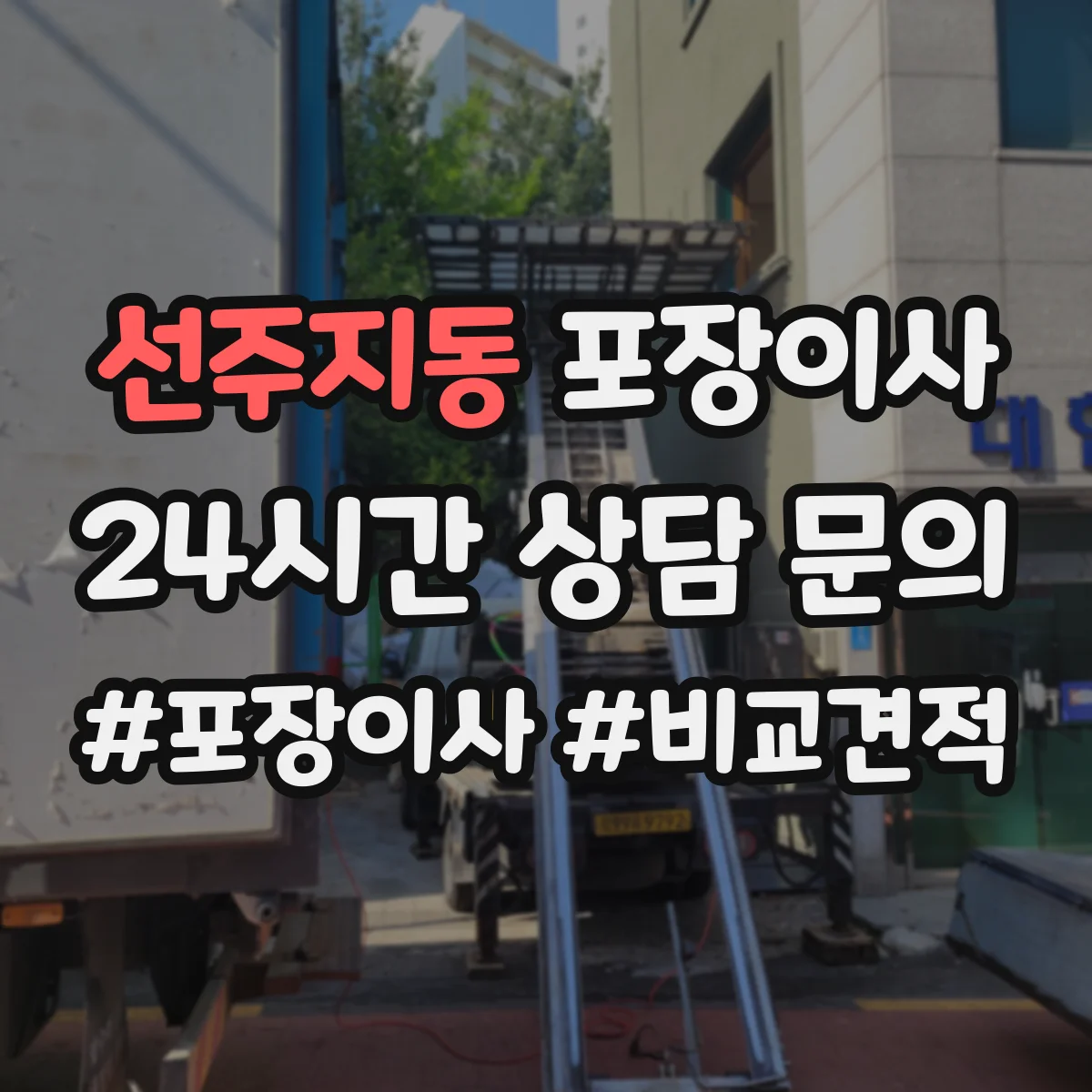 선주지동 포장이사