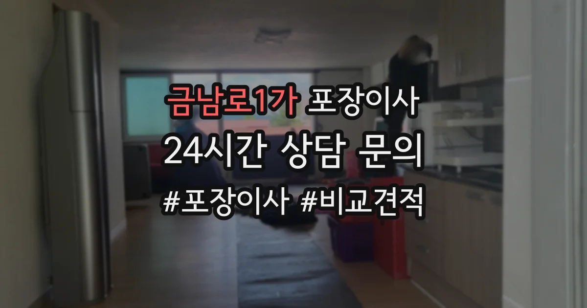 금남로1가 포장이사