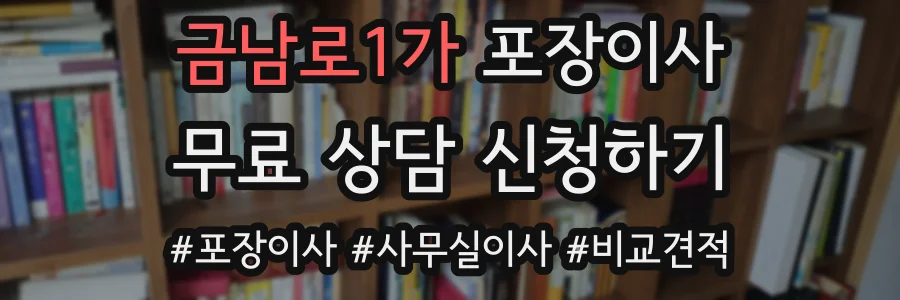 금남로1가 포장이사