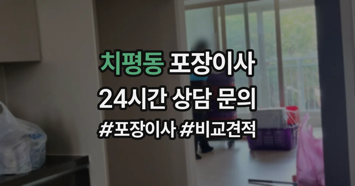 치평동 포장이사