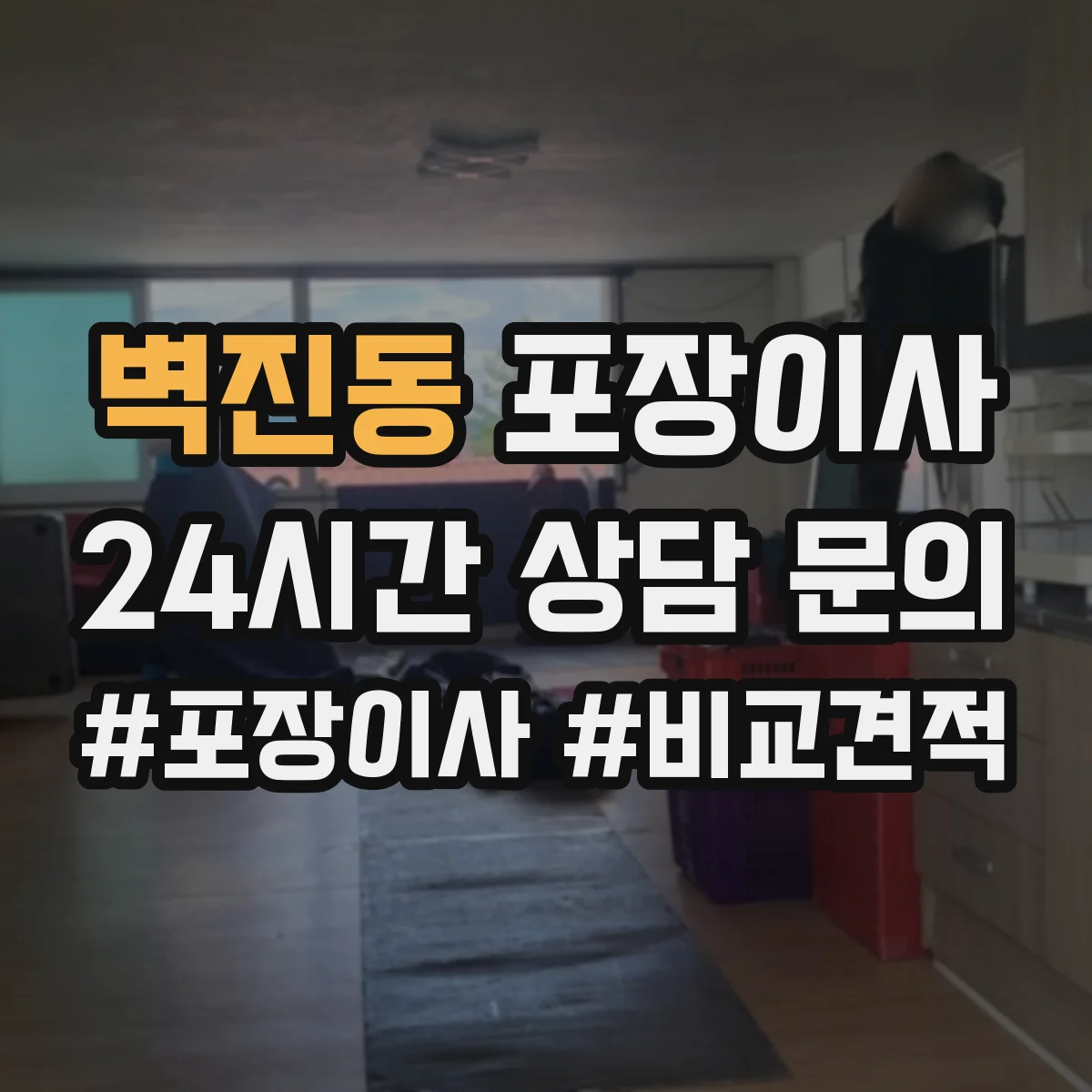 벽진동 포장이사