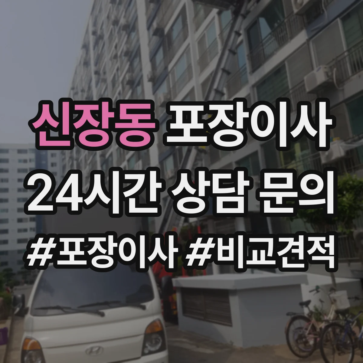 신장동 포장이사