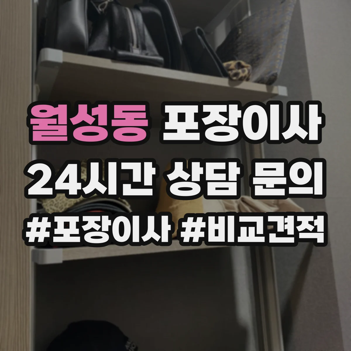 월성동 포장이사 후기에서 특히 언급되는 파손 예방 기준