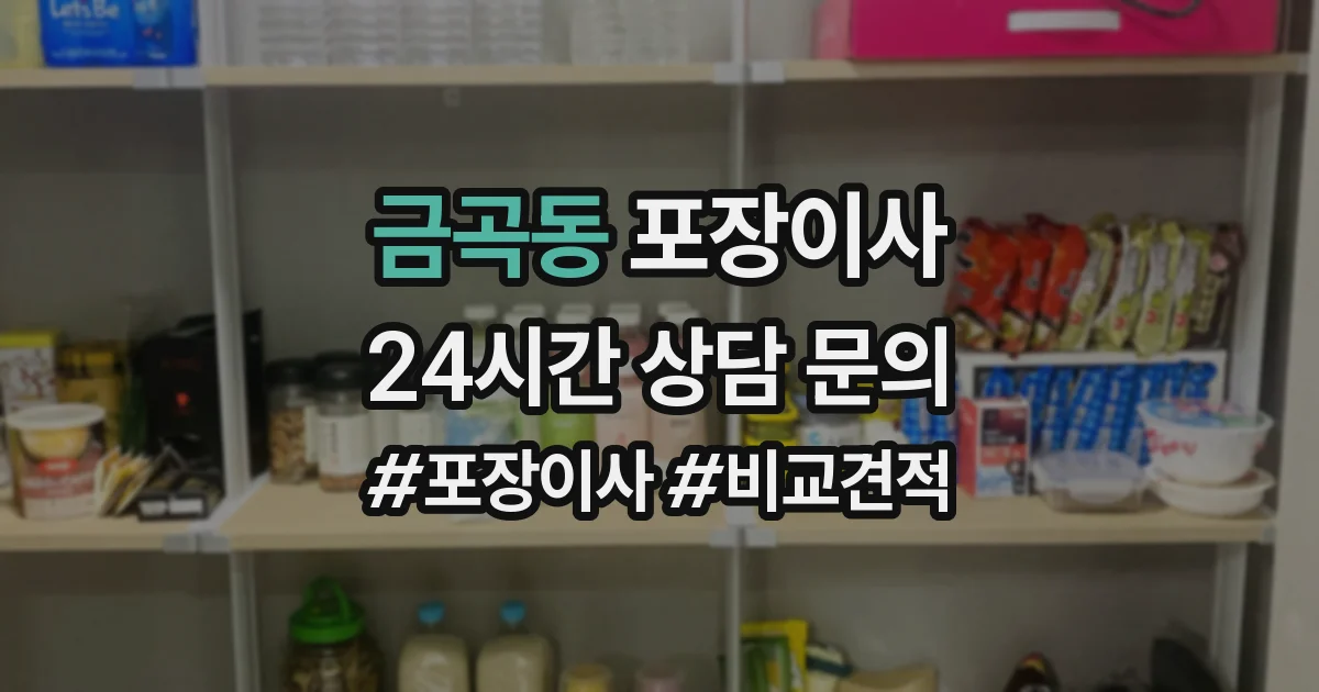 금곡동 포장이사