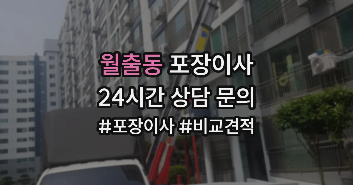 월출동 포장이사
