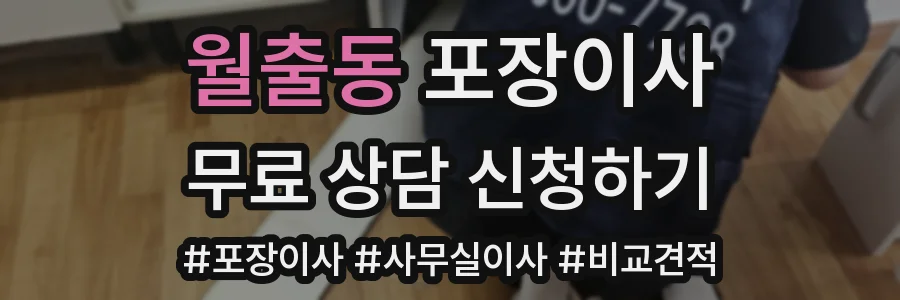 월출동 포장이사