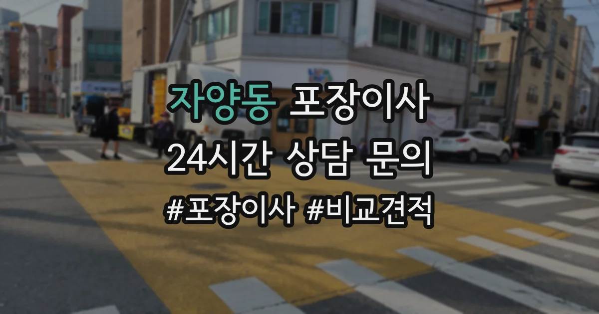 자양동 포장이사