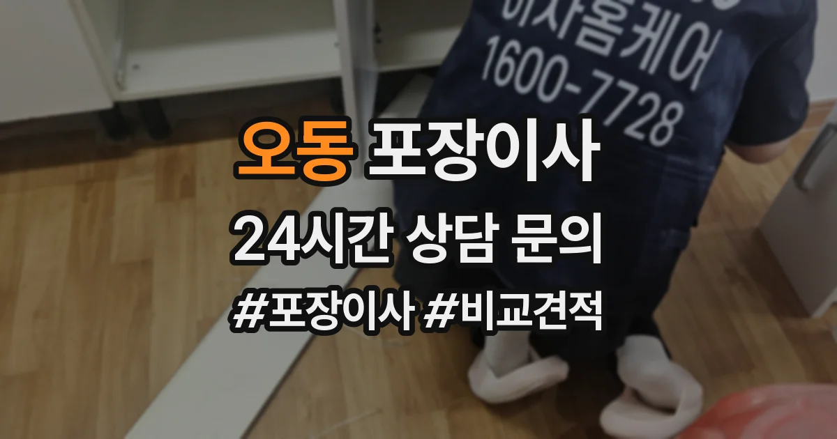 오동 포장이사