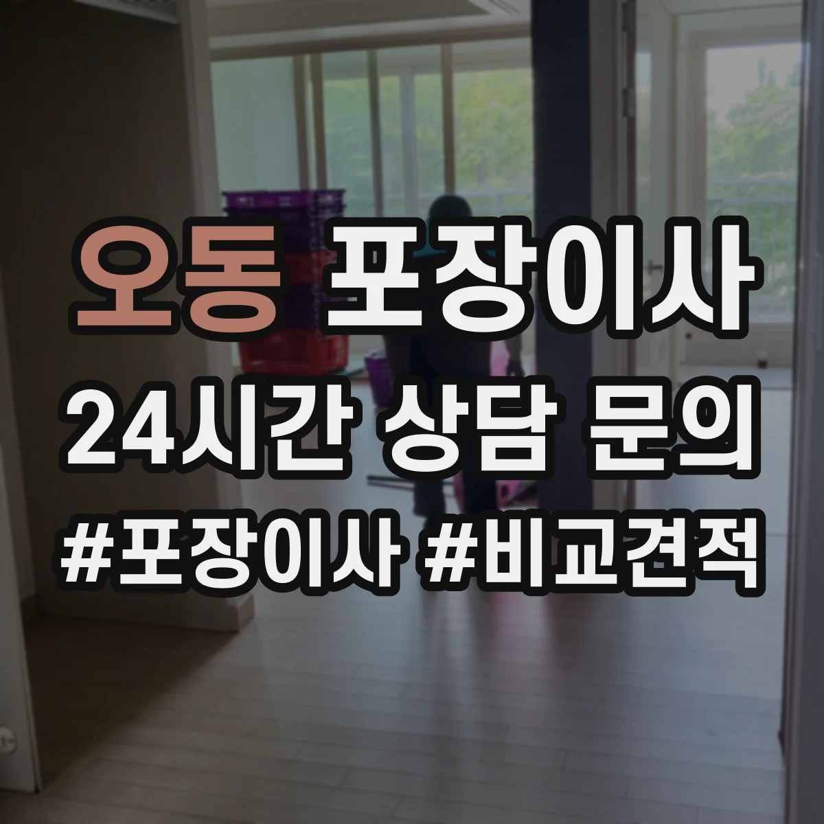 오동 포장이사