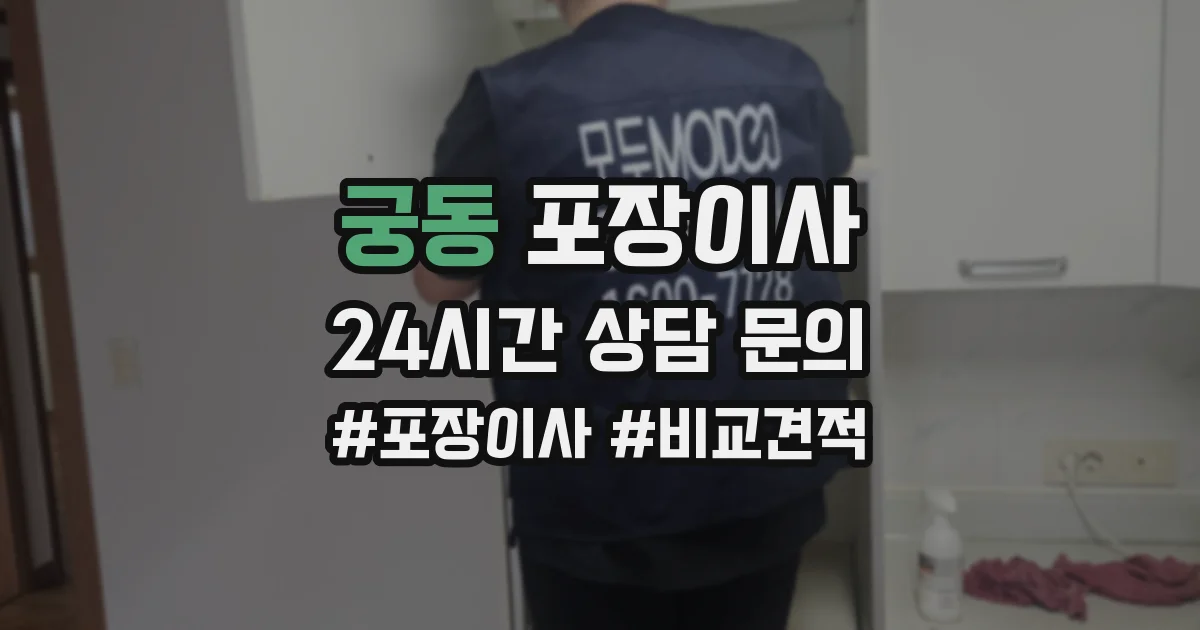 궁동 포장이사