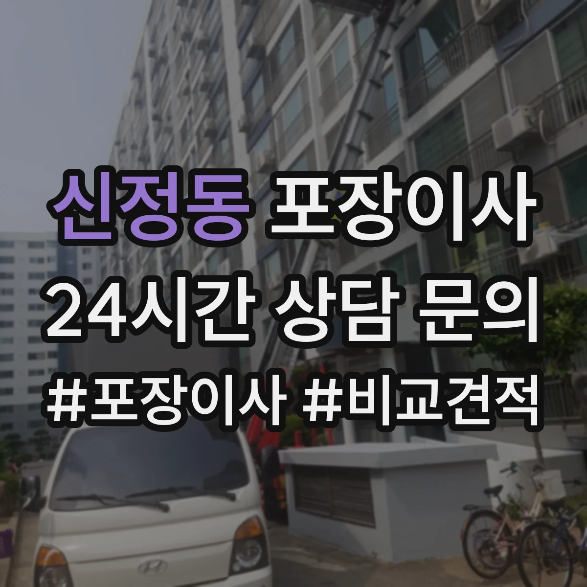 신정동 포장이사