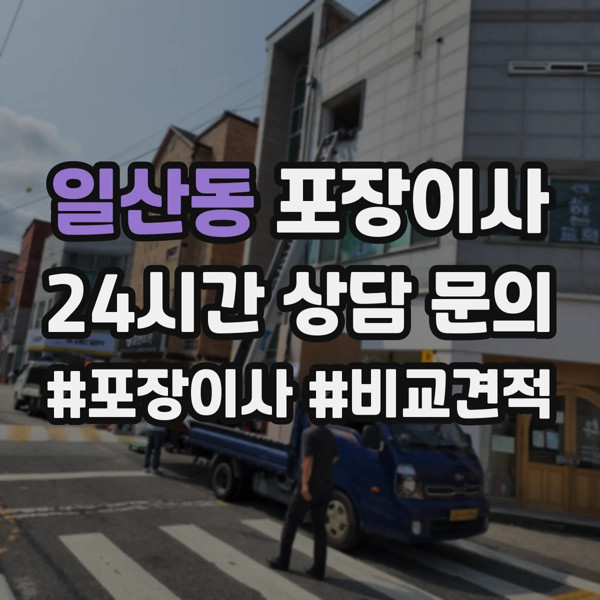 일산동 포장이사