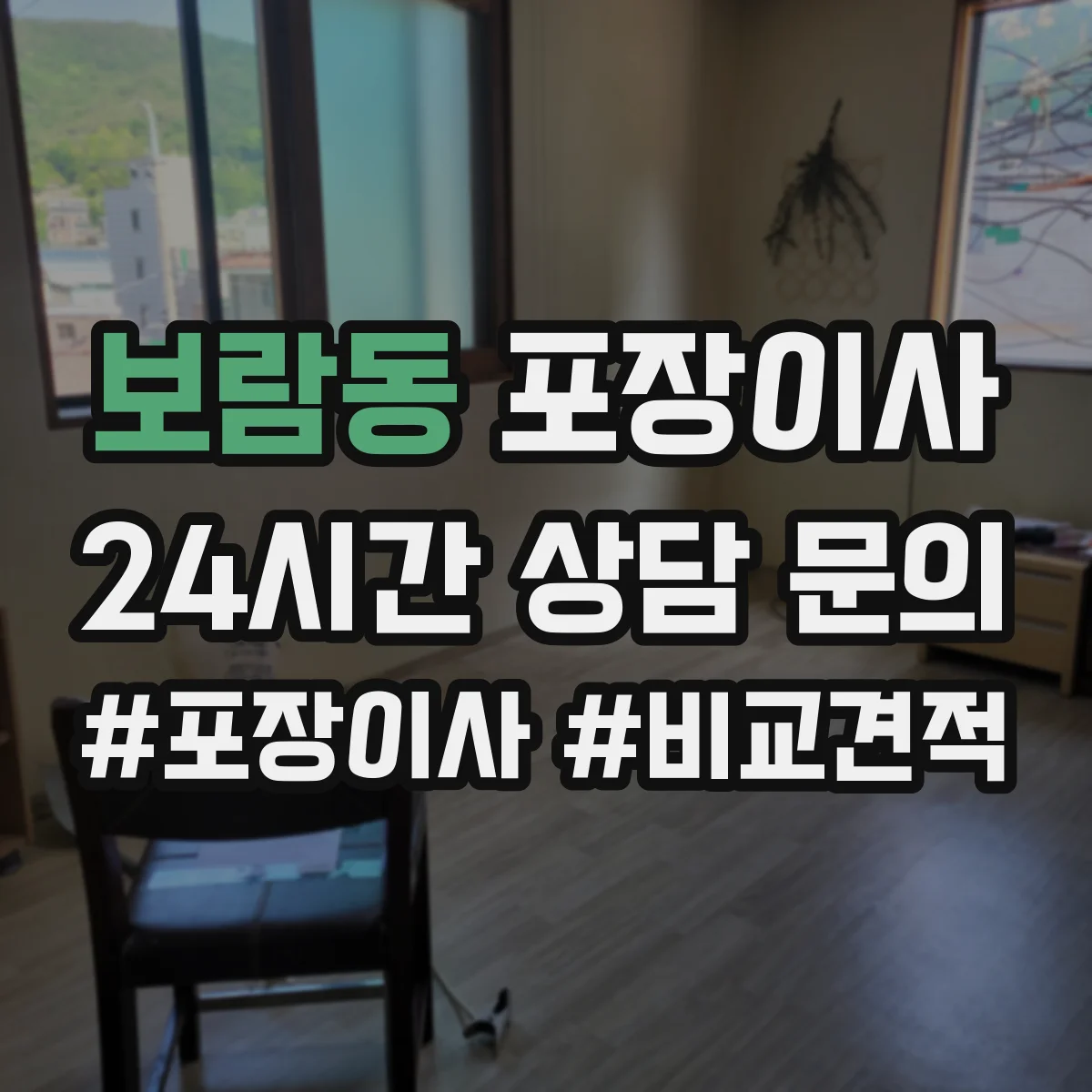 보람동 포장이사