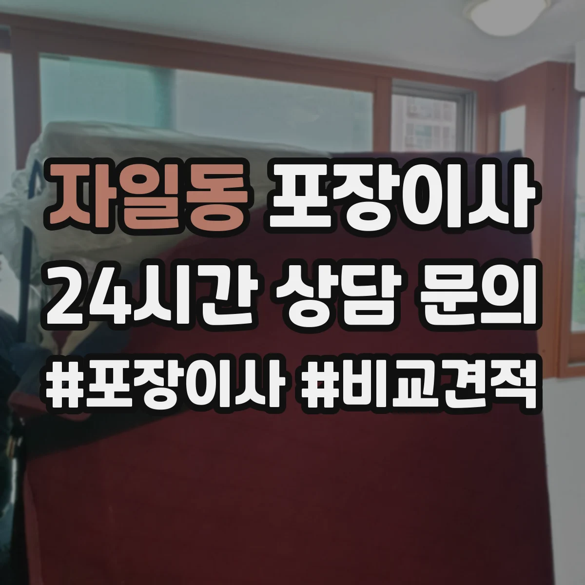 자일동 포장이사