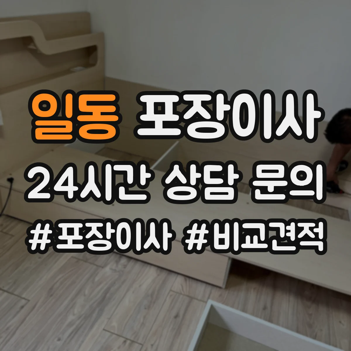 일동 포장이사