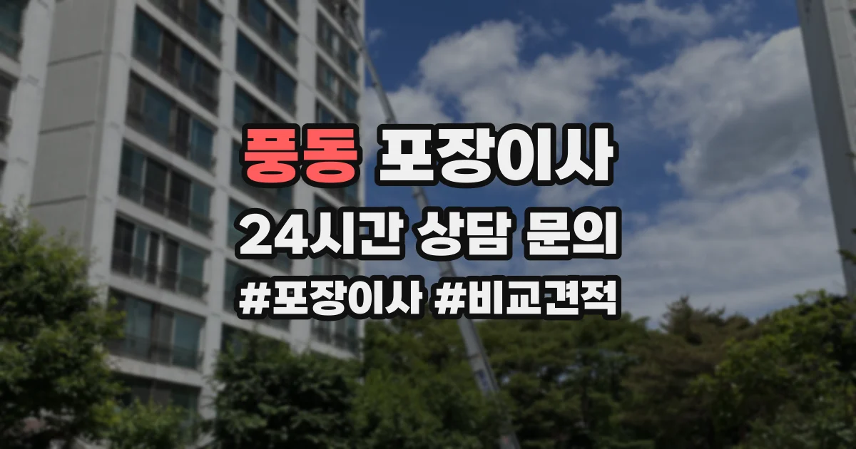 풍동 포장이사