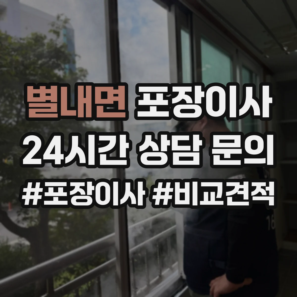 별내면 포장이사