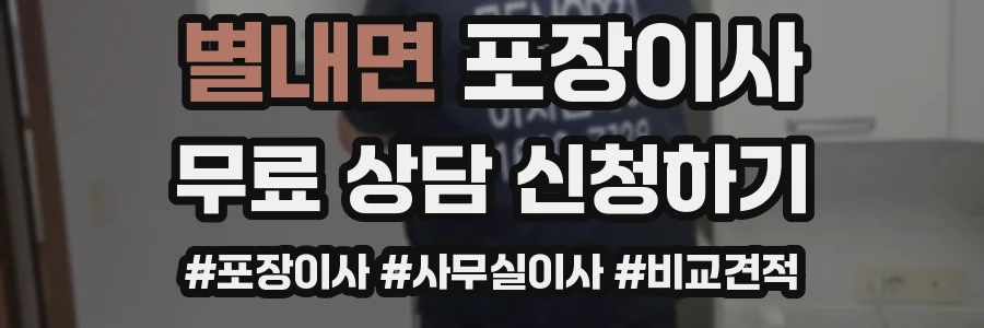 별내면 포장이사