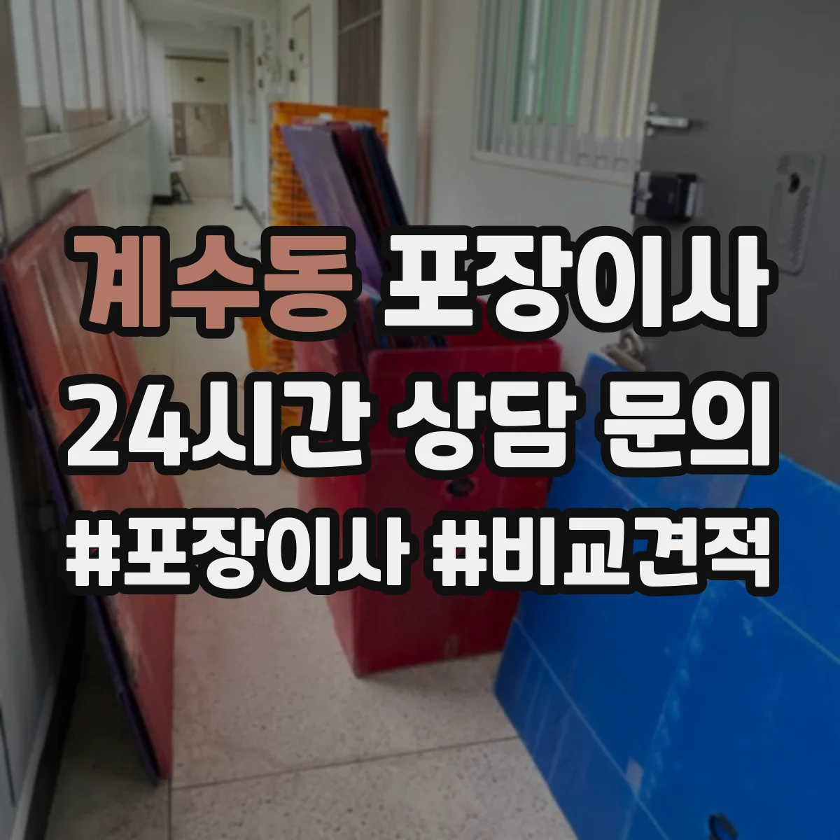 계수동 포장이사