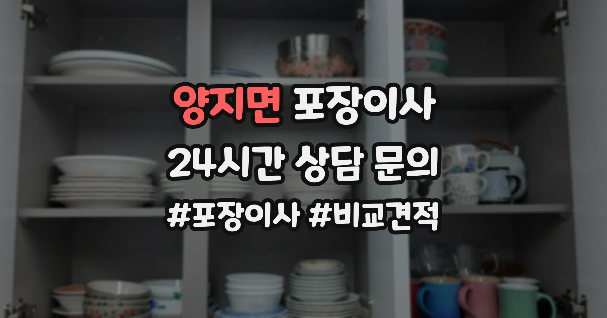양지면 포장이사