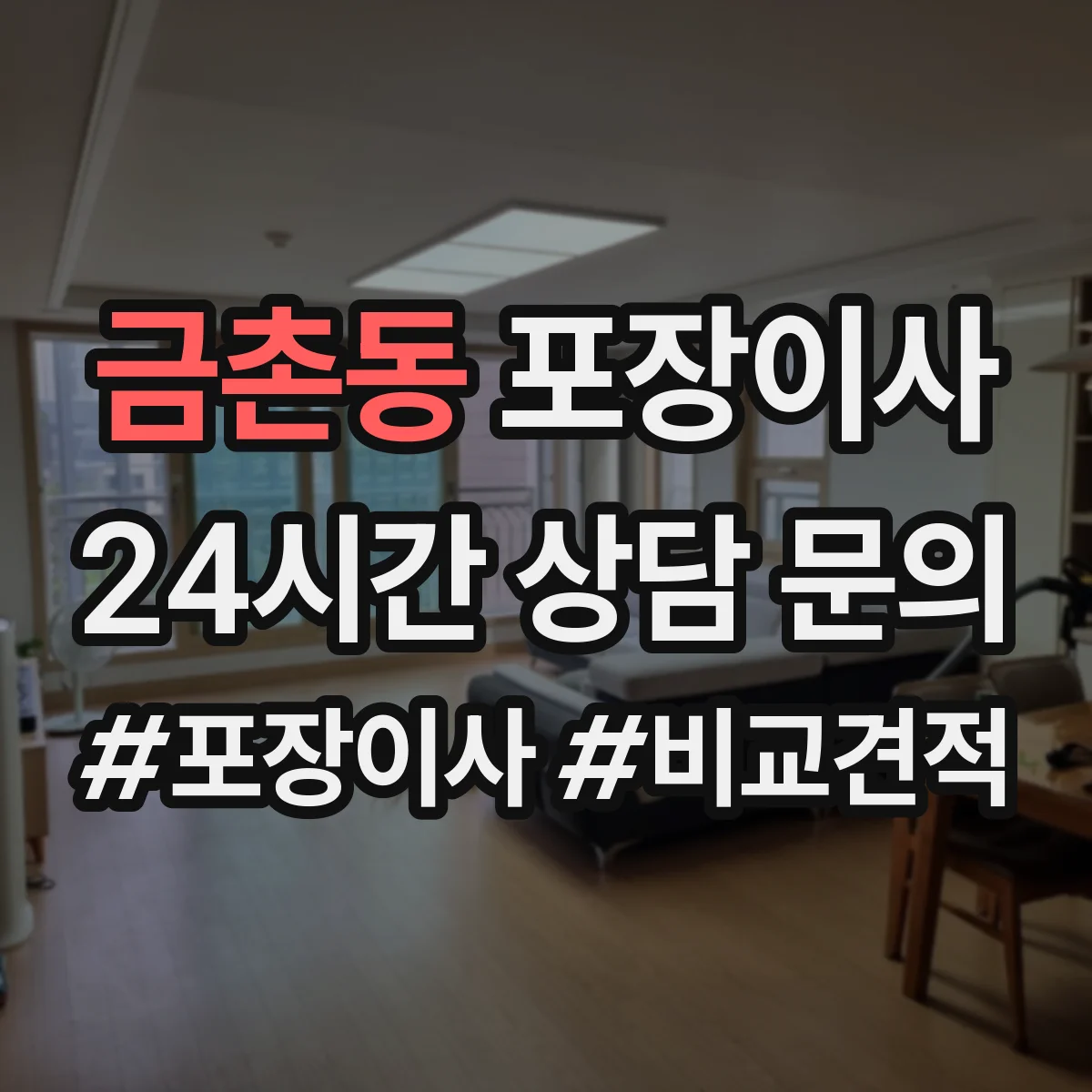 금촌동 포장이사