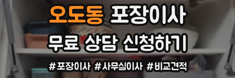 오도동 포장이사