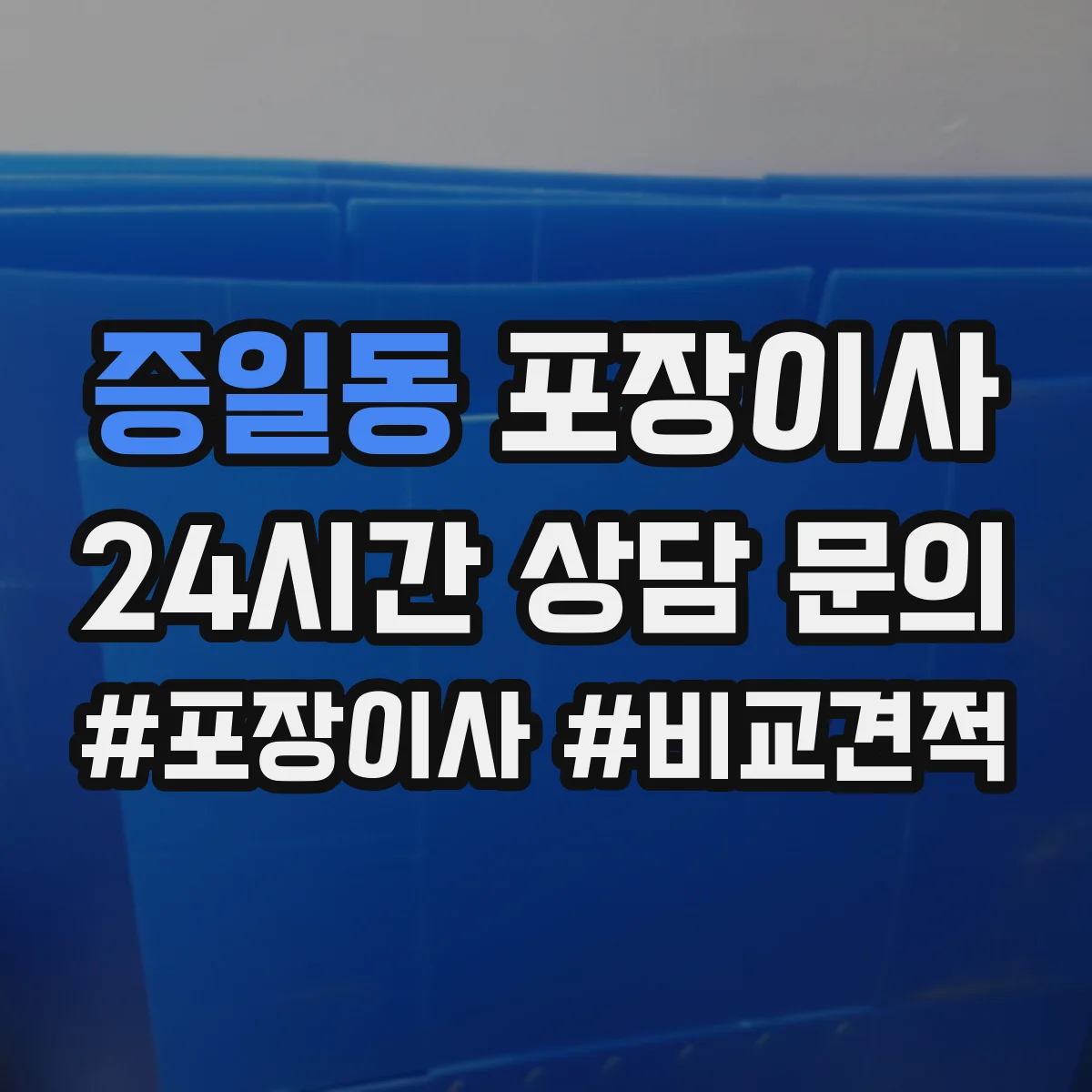 증일동 포장이사 반려동물 동선 고려한 포장 자재와 작업 순서