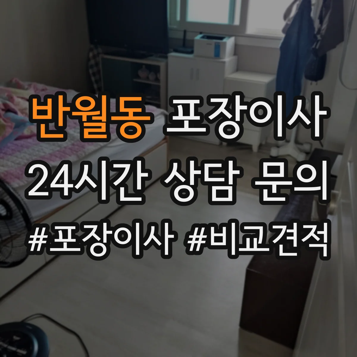 반월동 포장이사