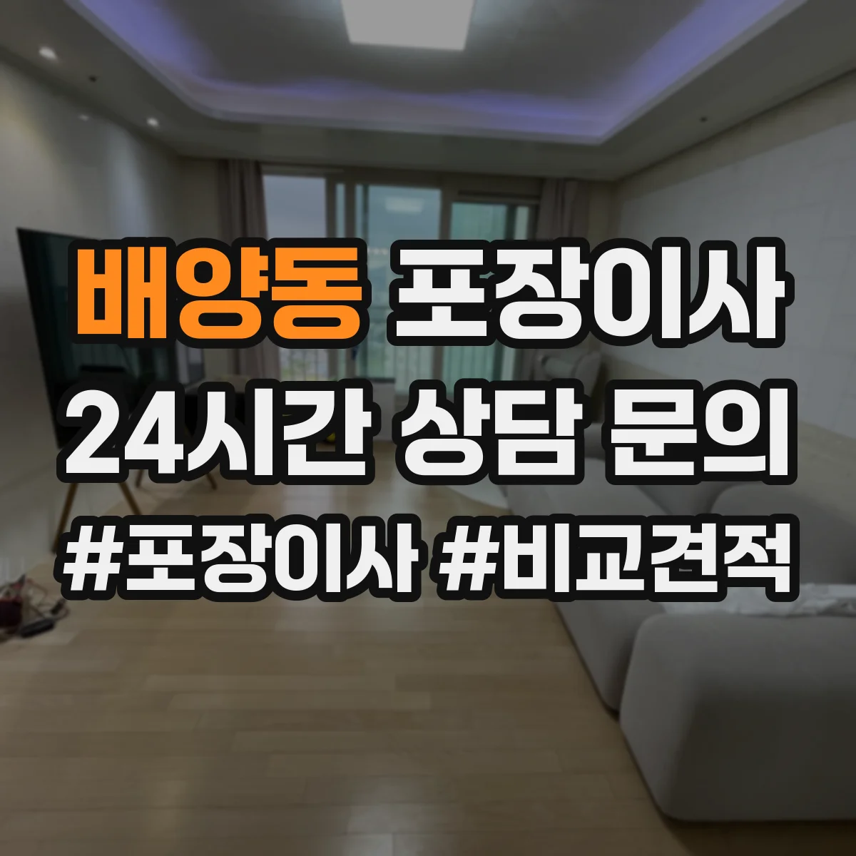 배양동 포장이사
