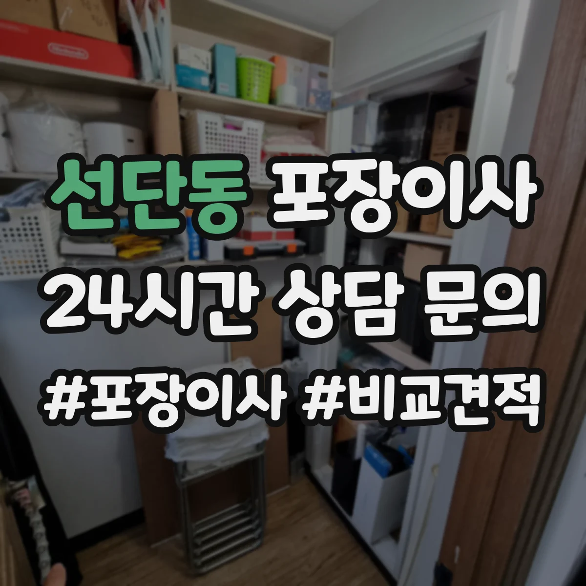 선단동 포장이사 견적 시기 조절, 이사 날짜에 따른 변동 파악