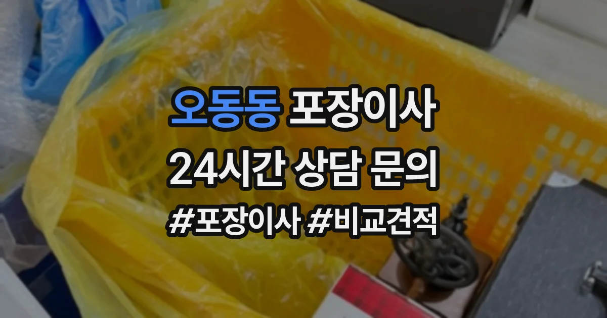 오동동 포장이사