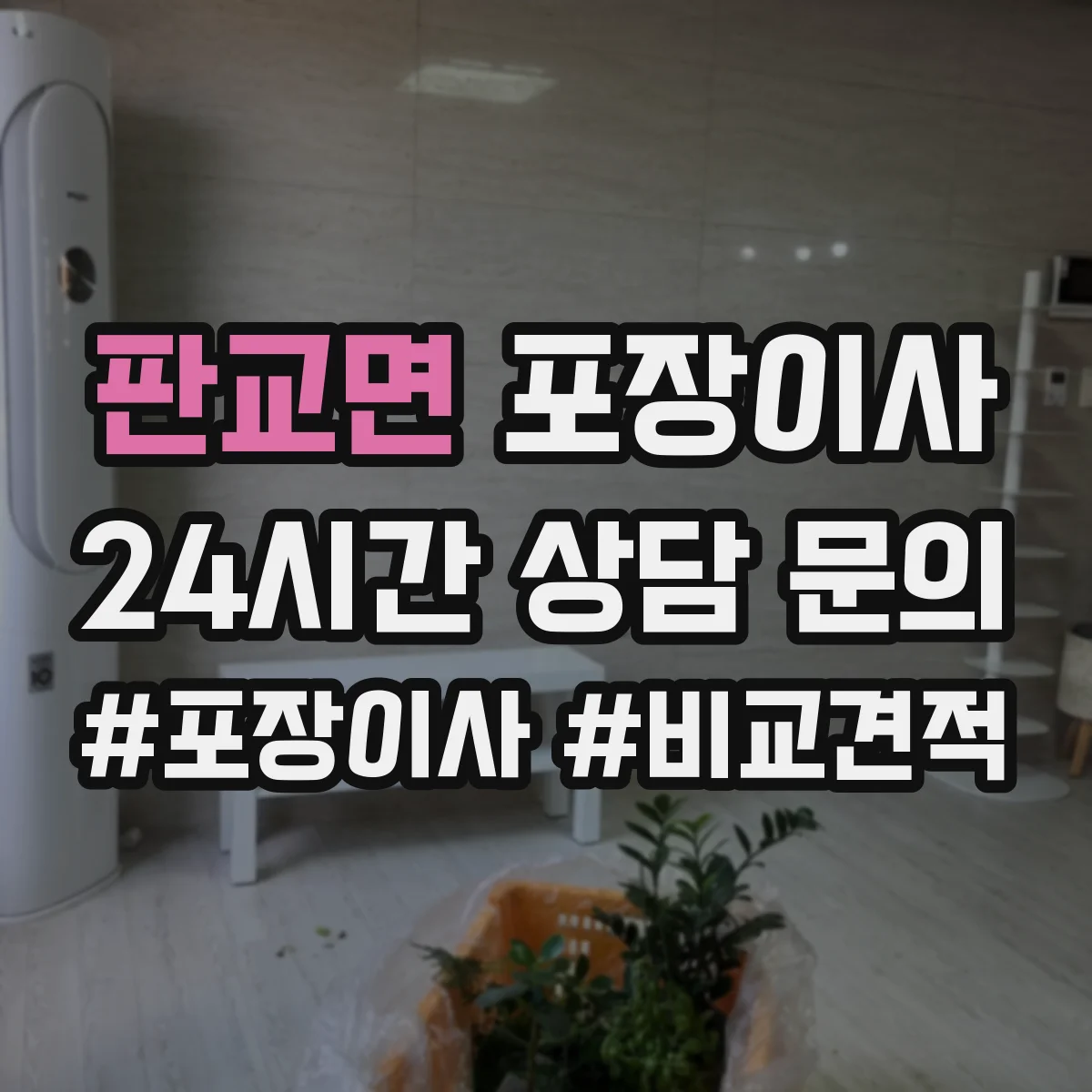 판교면 포장이사