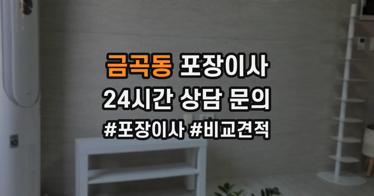 금곡동 포장이사