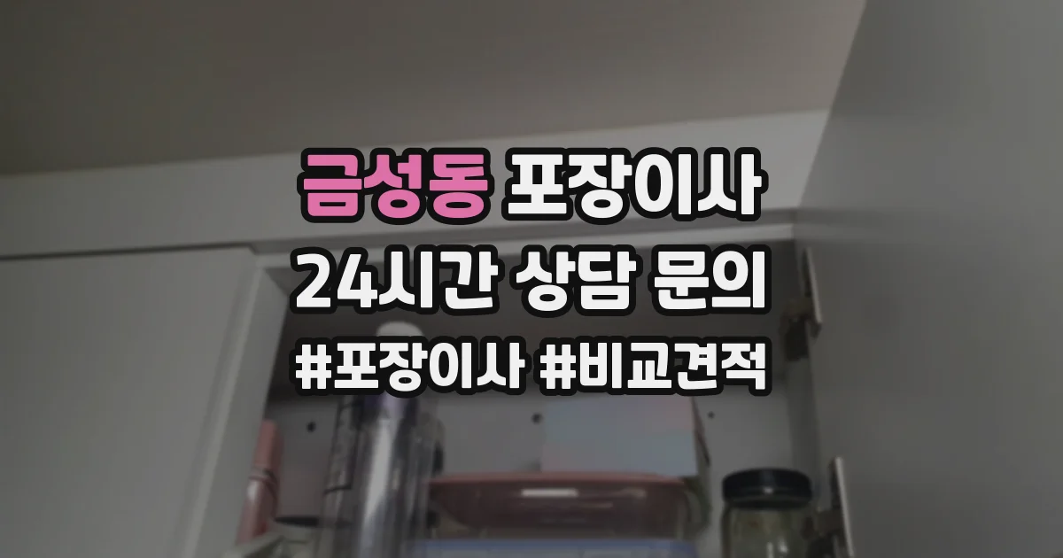 금성동 포장이사
