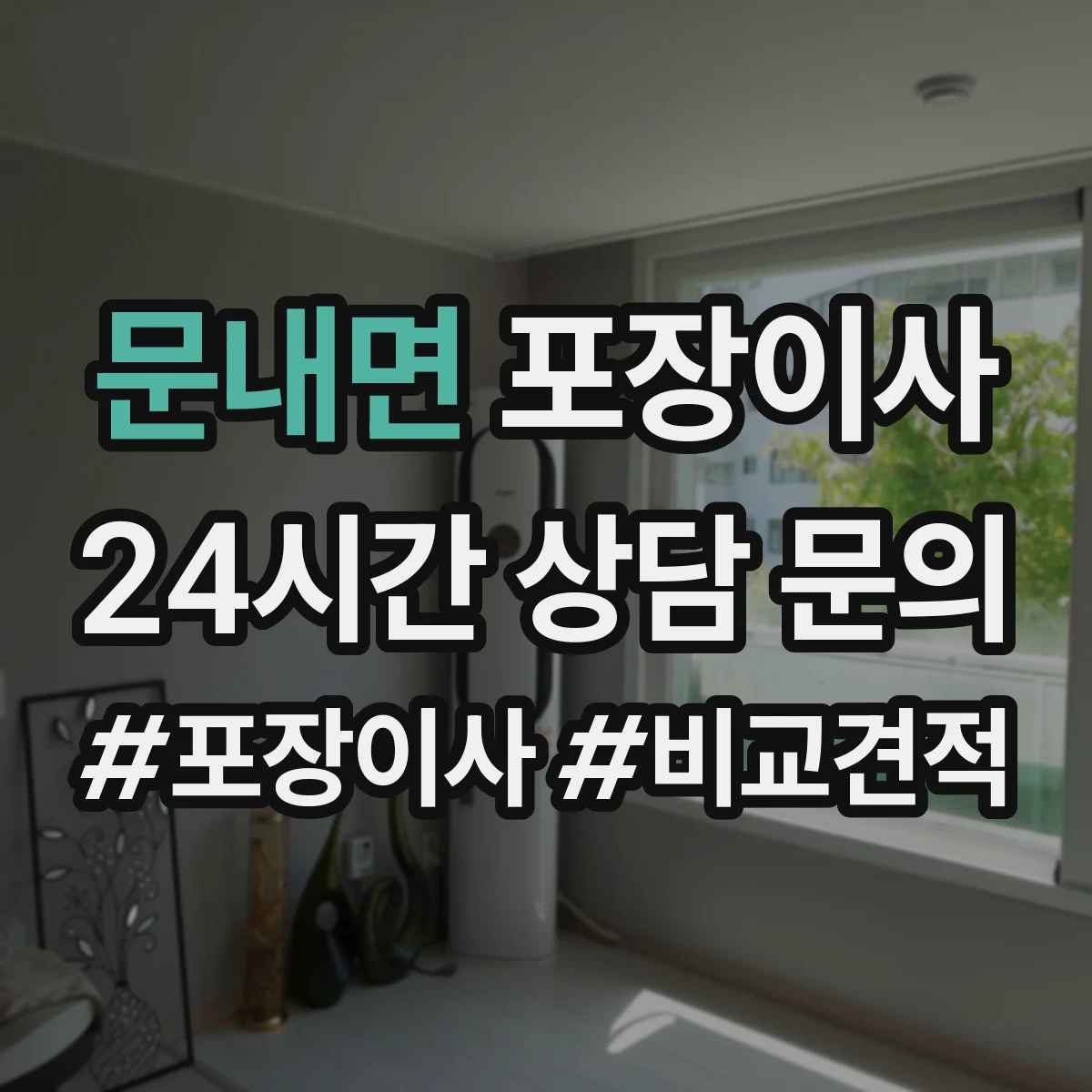 문내면 포장이사