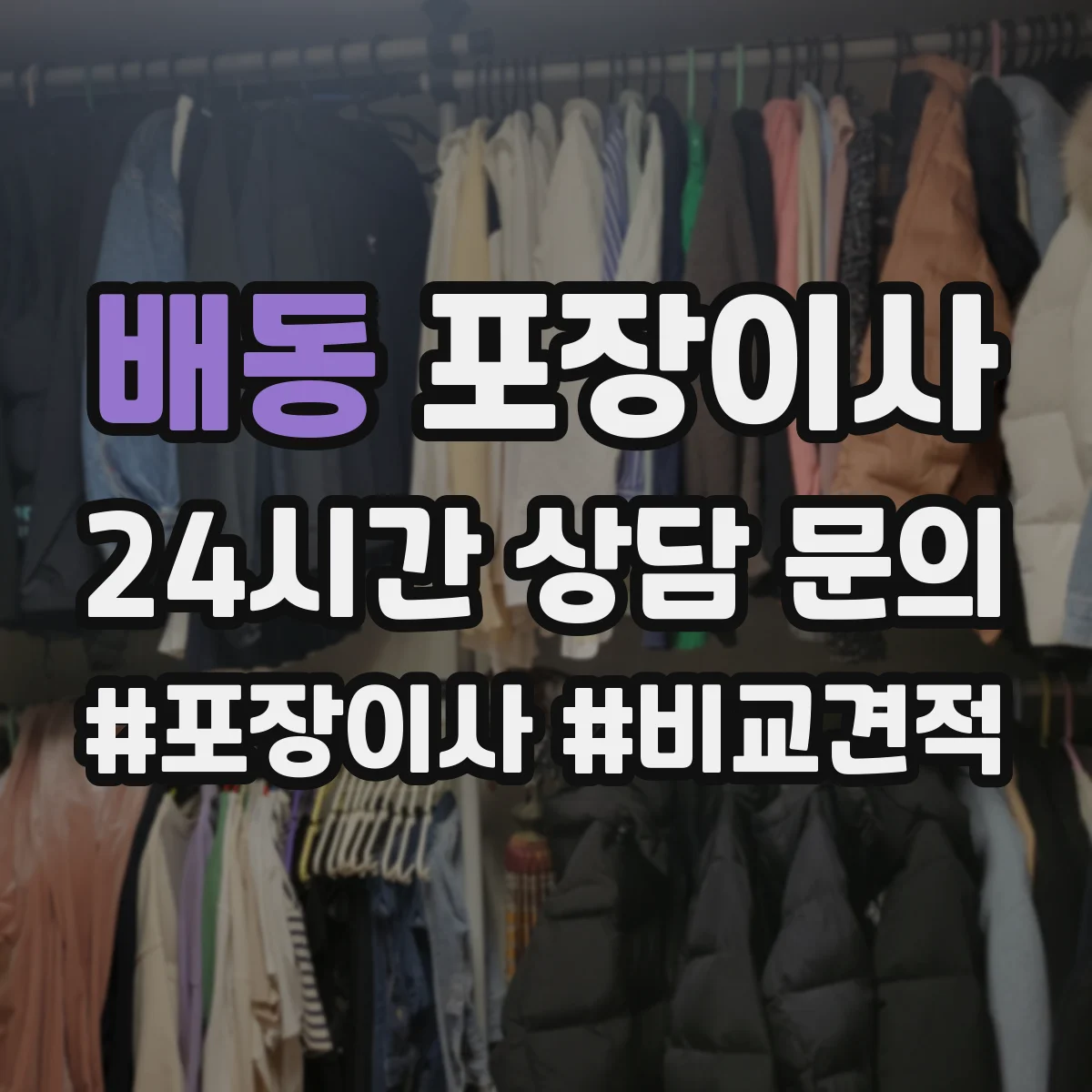 배동 포장이사