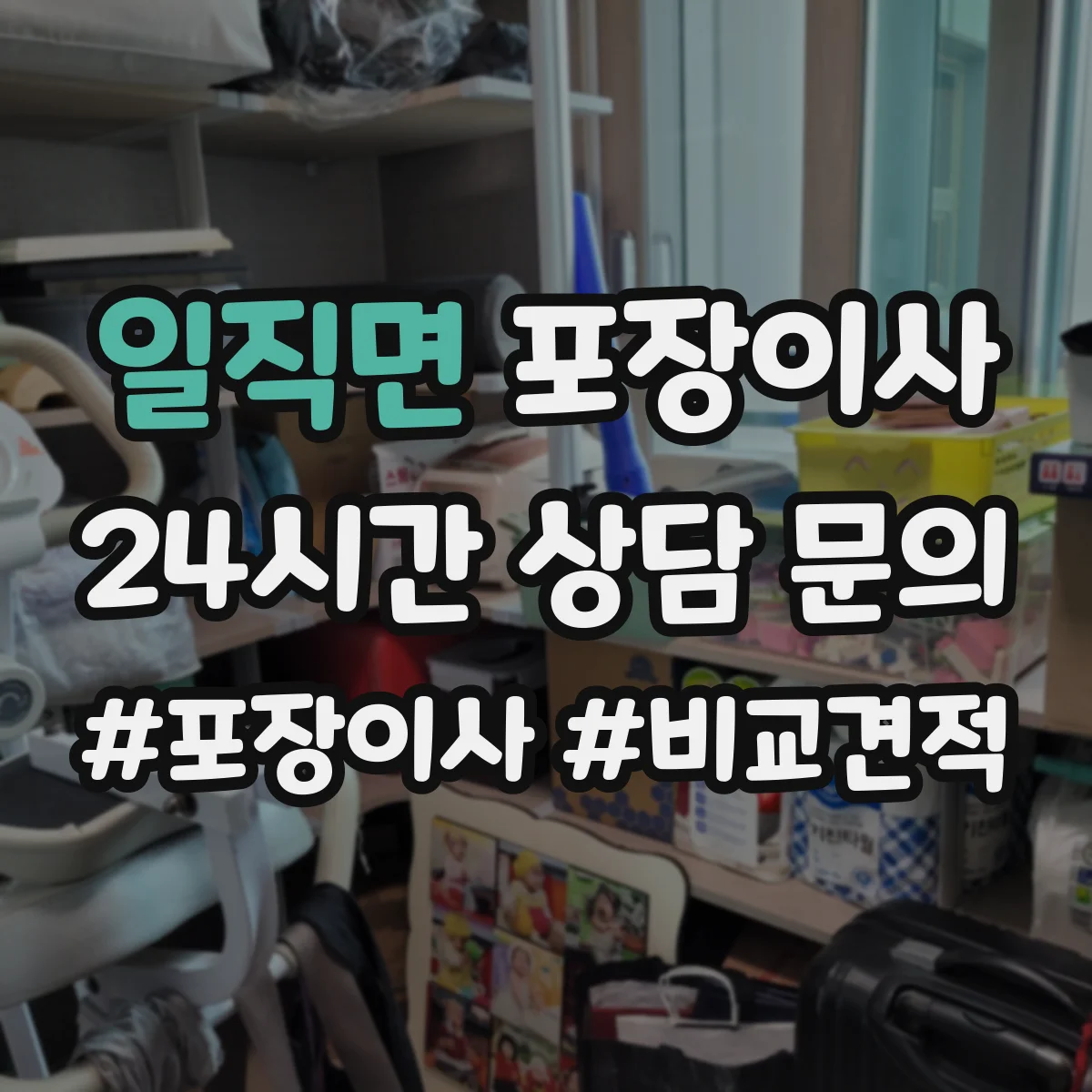 일직면 포장이사
