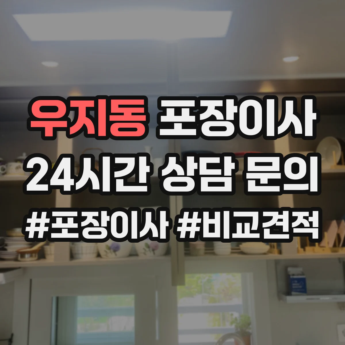 우지동 포장이사