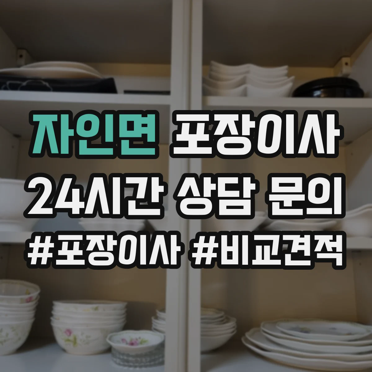 자인면 포장이사 반려동물 동선 고려한 포장 자재와 작업 순서